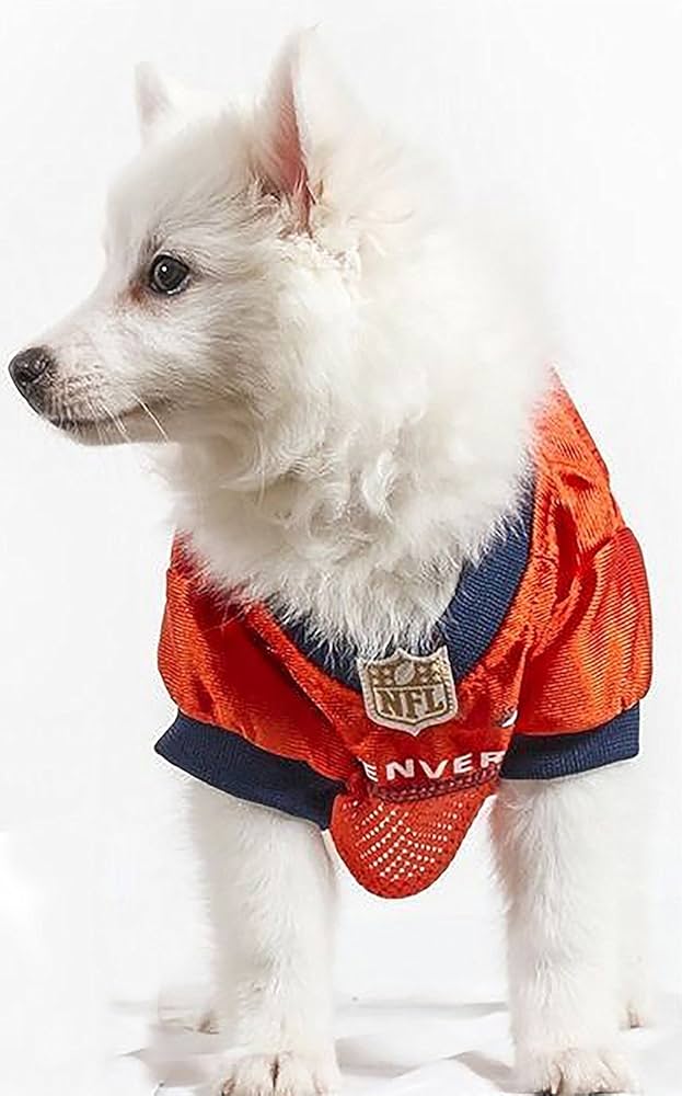 NFL Denver Broncos Pet Gift Box with 2 Licensed Dog Toys, 1 Logo-Engraved Natural Treat, 1 NFL Jersey, Puppy Training Bells, and 1 Car Seat Belt