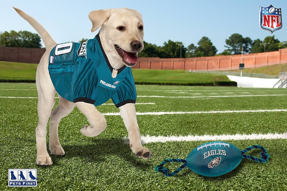 Philadelphia Eagles NFL Pet Gift Box with 2 Licensed Dog Toys, 1 Logo-Engraved Treat, 1 NFL Jersey, 1 NFL Puppy Training Bell, and 1 Car Seat Belt