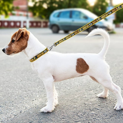 Pets First NFL Green Bay Packers Collier pour animal domestique Taille M