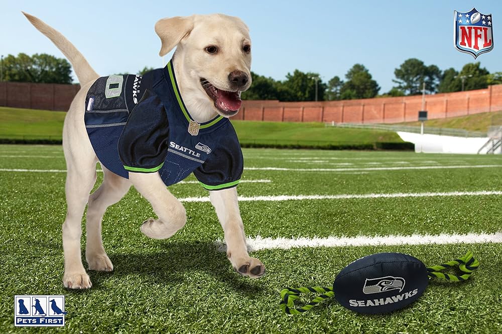 Seattle Seahawks NFL Pet Gift Box with 2 Licensed Dog Toys, 1 Logo-Engraved Natural Treat, 1 NFL Jersey, 1 Puppy Training Bell, and a Car Seat Belt