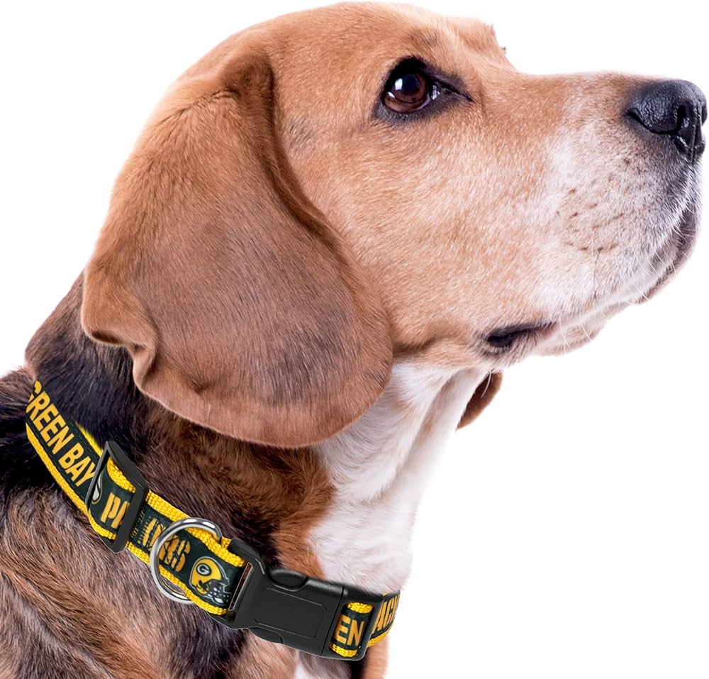 Pets First NFL Green Bay Packers Collier pour animal domestique Taille M