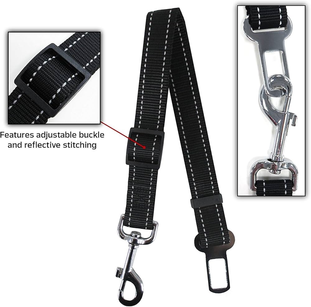 Tampa Bay Buccaneers Pet Gift Box with 2 Licensed Dog Toys, 1 Logo-Engraved Natural Treat, 1 NFL Jersey, 1 Puppy Training Bell, and a Car Seat Belt