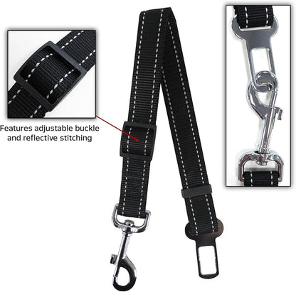 Tampa Bay Buccaneers Pet Gift Box with 2 Licensed Dog Toys, 1 Logo-Engraved Natural Treat, 1 NFL Jersey, 1 Puppy Training Bell, and a Car Seat Belt