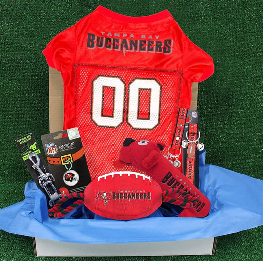 Tampa Bay Buccaneers Pet Gift Box with 2 Licensed Dog Toys, 1 Logo-Engraved Natural Treat, 1 NFL Jersey, 1 Puppy Training Bell, and a Car Seat Belt