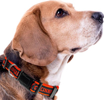 Pets First NFL Dog Collar Cincinnati Bengals Size M
