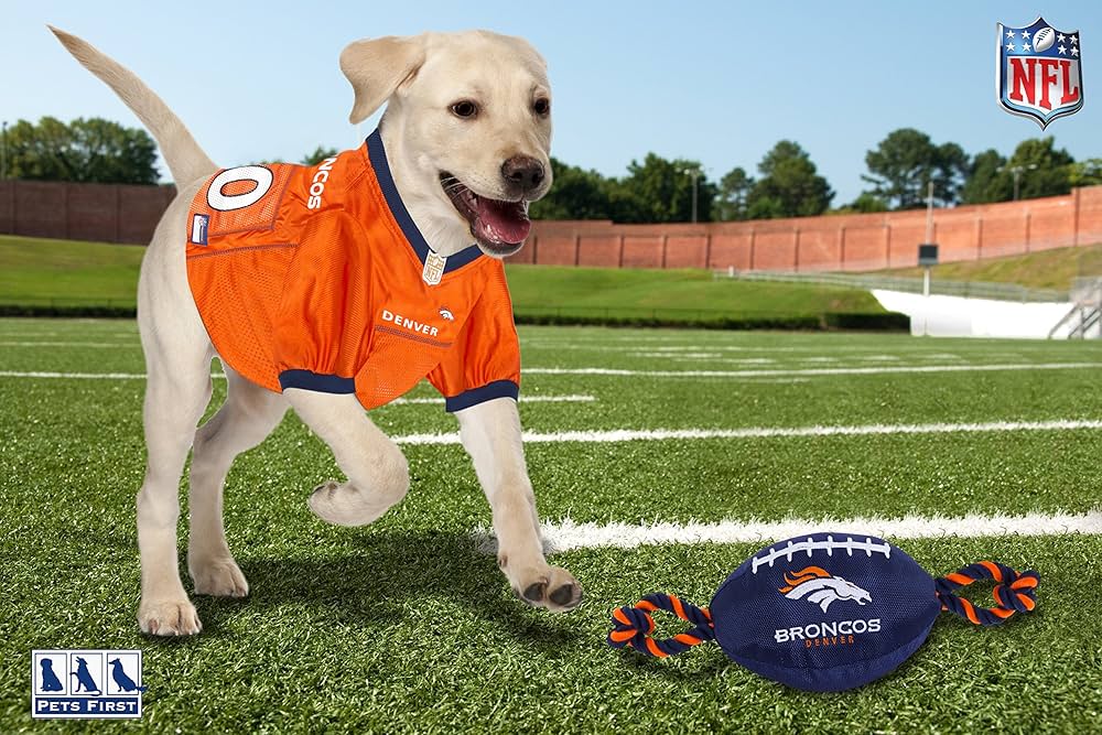 NFL Denver Broncos Pet Gift Box with 2 Licensed Dog Toys, 1 Logo-Engraved Natural Treat, 1 NFL Jersey, Puppy Training Bells, and 1 Car Seat Belt